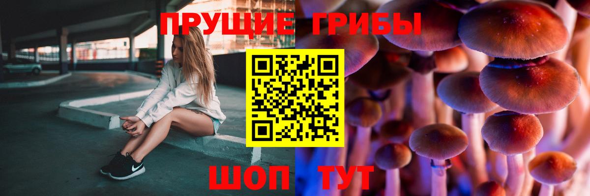 Галлюциногенные грибы Psilocybine cubensis  Вход с VPN  Моздок 
